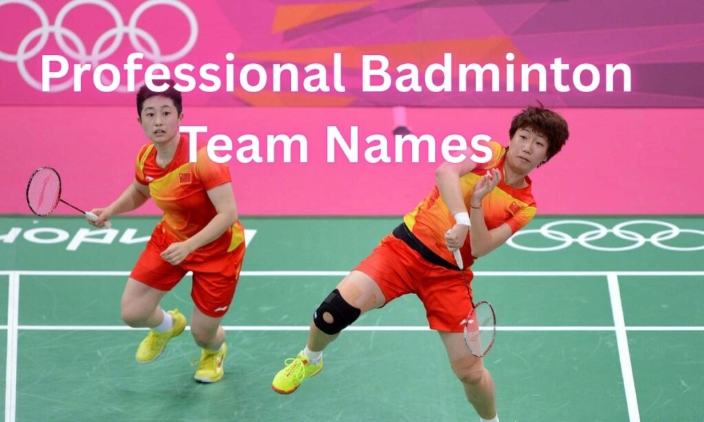 Professional Badminton Team Names